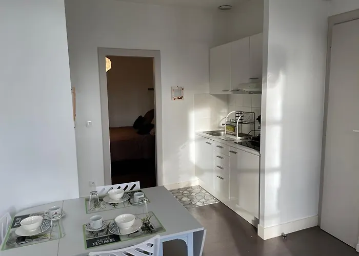 Apartament Lumineux Centre Proche Chateau Et Gare *