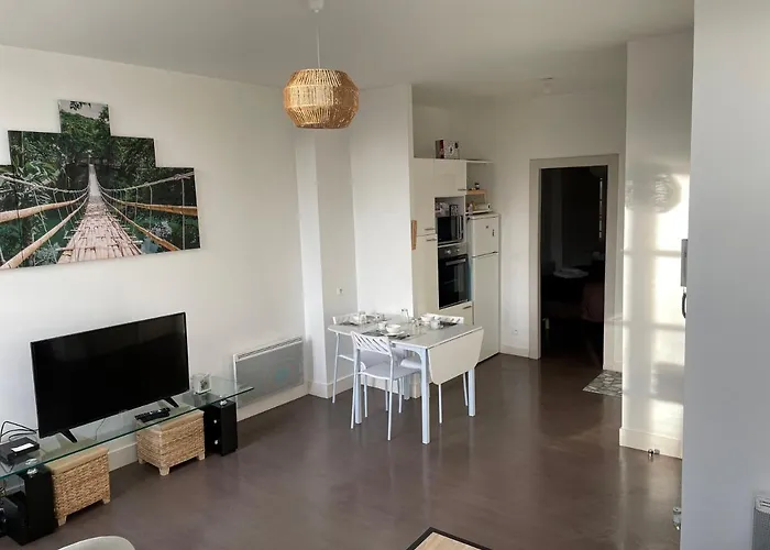 Lumineux Centre Proche Chateau Et Gare Pau